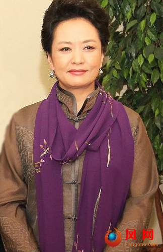 彭丽媛 李娜 时代百大影响力人物评选 李娜时代封面 彭丽媛卡通出访图